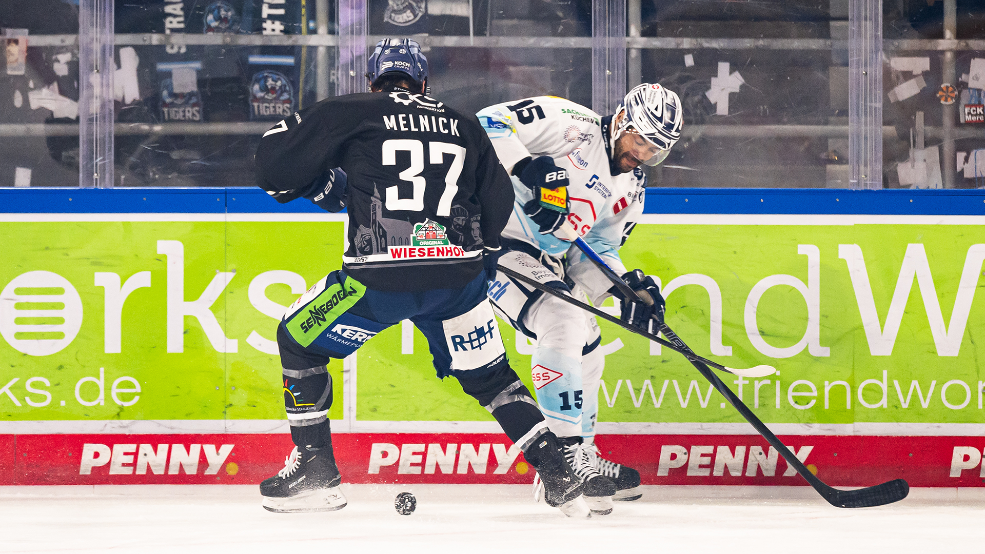 Straubing Tigers gg. Dresdner Eislöwen